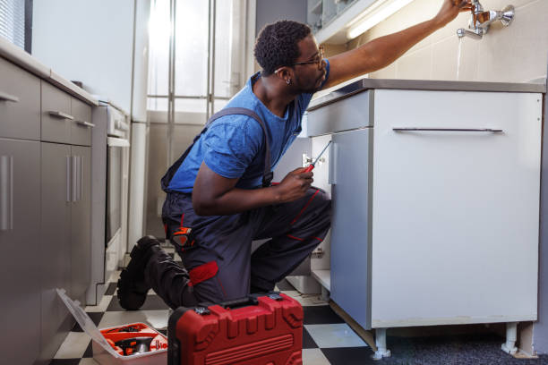 Best Plumbing Inspection Services  in Smithfield, NC